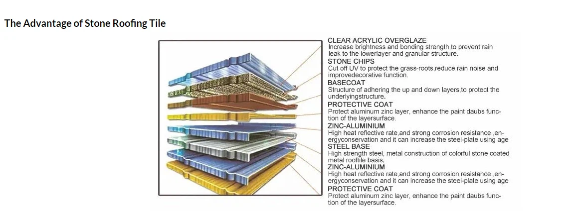 20230828114234 20230828114234